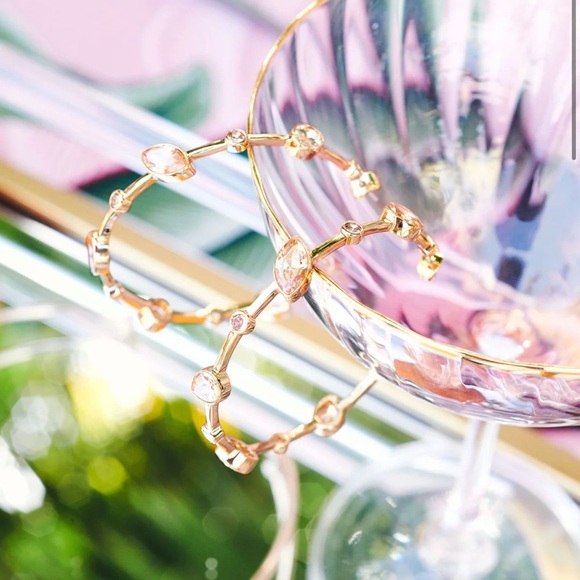 NEW Ramy Brook Camile Gemstone Hoop Earrings - Picture 5 of 5